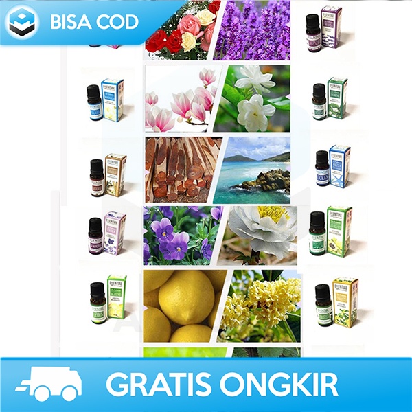 MINYAK AROMATERAPI DIFFUSER HUMIDIFIER PURE ESSENSIAL OIL HARUM 10 ML