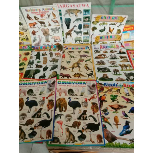 

POSTER HEWAN UNTUK BELAJAR ANAK TK PAUD SD BALITA