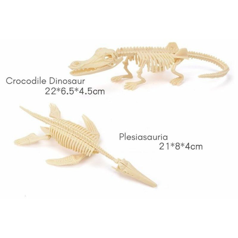 PROMO mainan dig dinosaur fossil toy