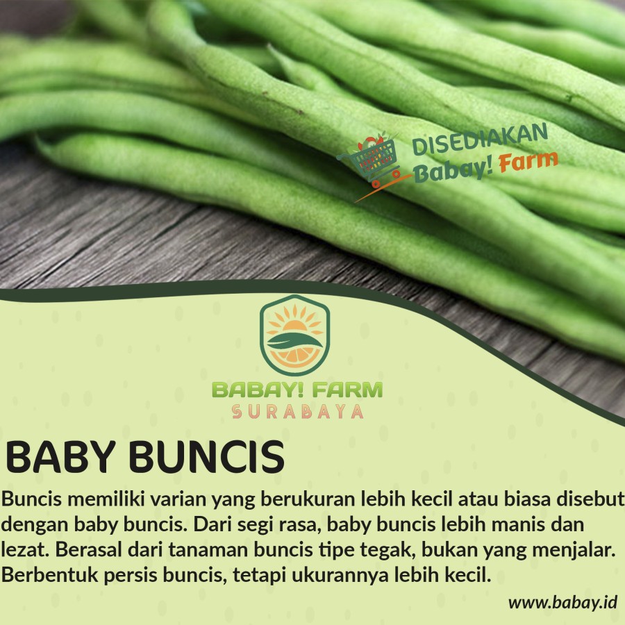 

Baby Buncis Segar 250 500 gr / 1 kg