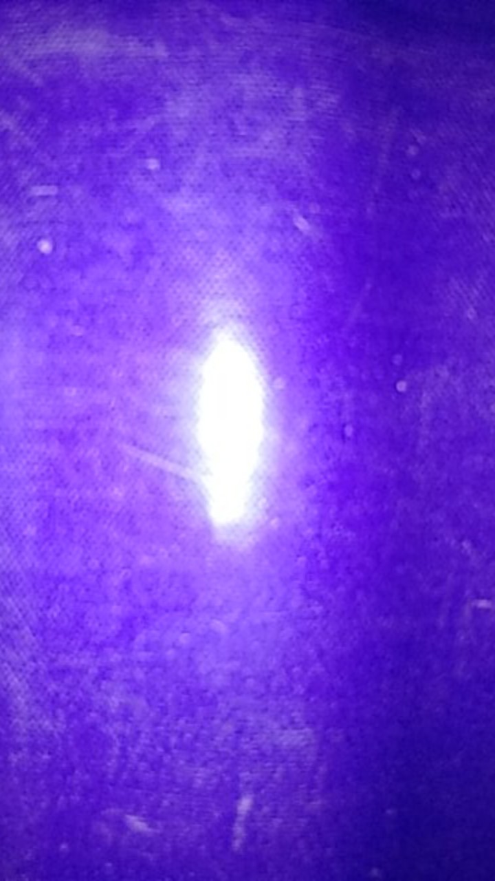 Boxer Black Fire Celana Pendek Terlaris