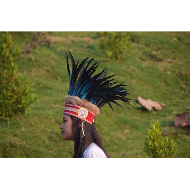 TOPI PAPUA-TOPI IRIAN BULU AYAM BIRU