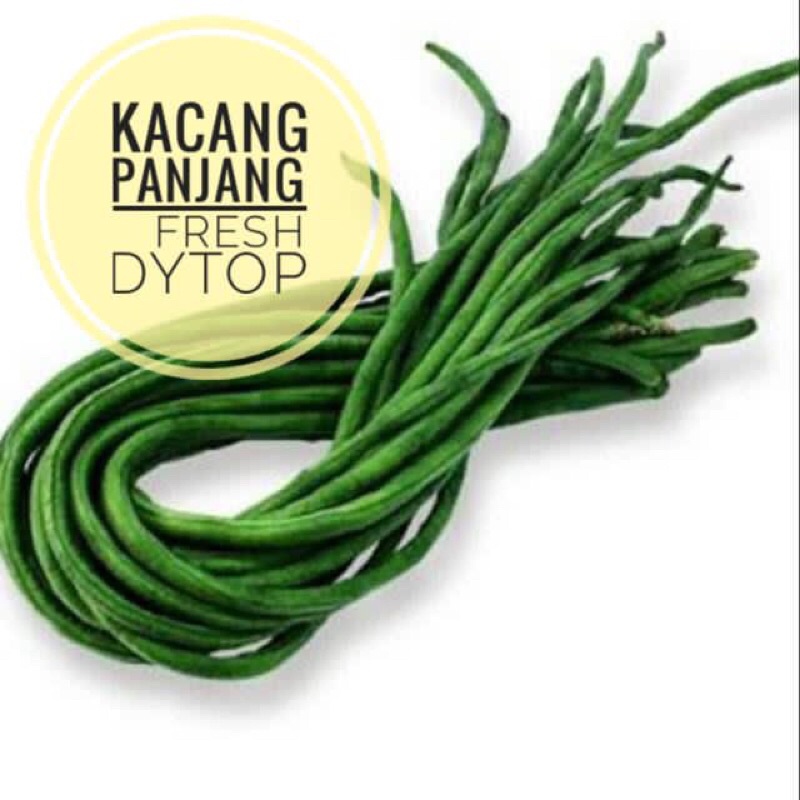 

Sayuran Kacang Panjang Fresh Segar - 250 Gram