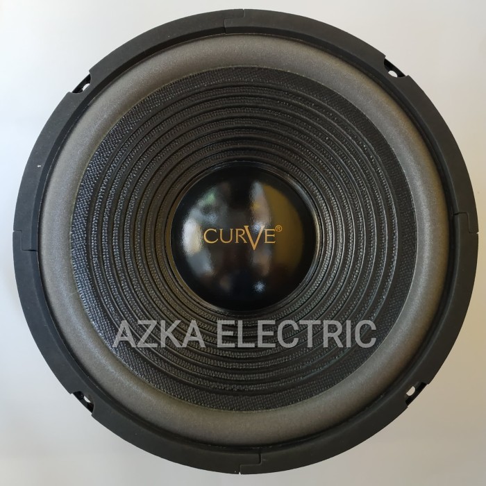 Speaker Curve 10 Inch Woofer 300W