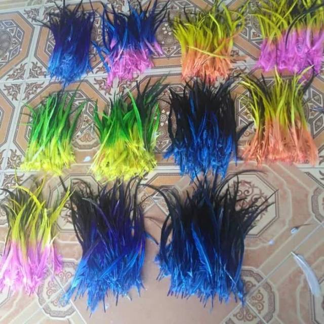 Bulu ayam lancur jago isi 50 biji