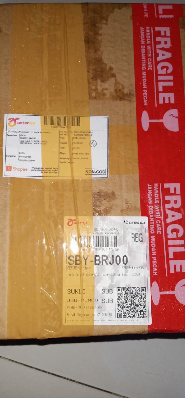 Paket Starter Kit Hidroponik (wick System) 9 Lubang 2 Bak