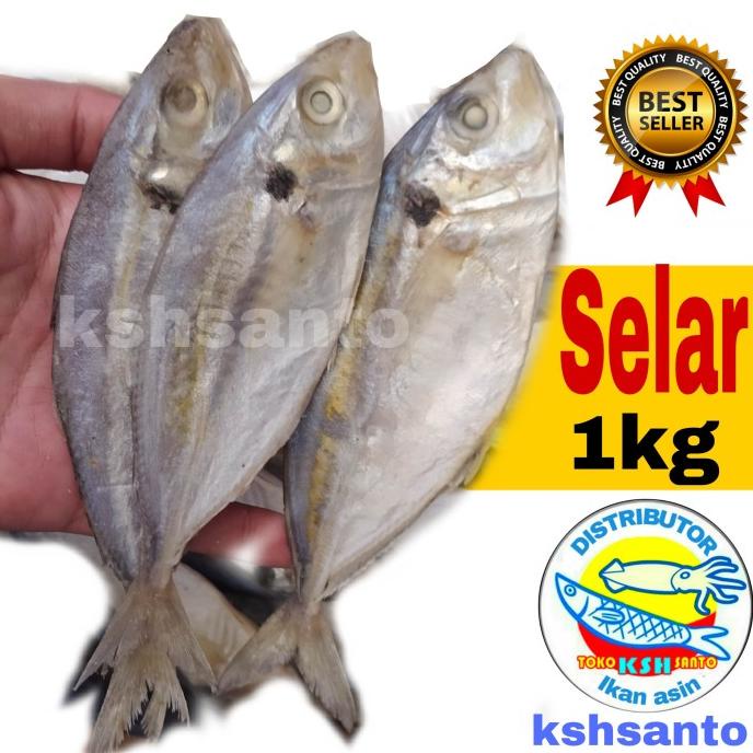 

[COD] ikan asin selar super-1kg [COD]