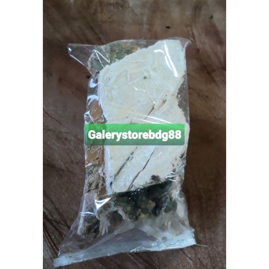 Kulit pohon pule pohon lame pohon pulay segar 1 kg fresh