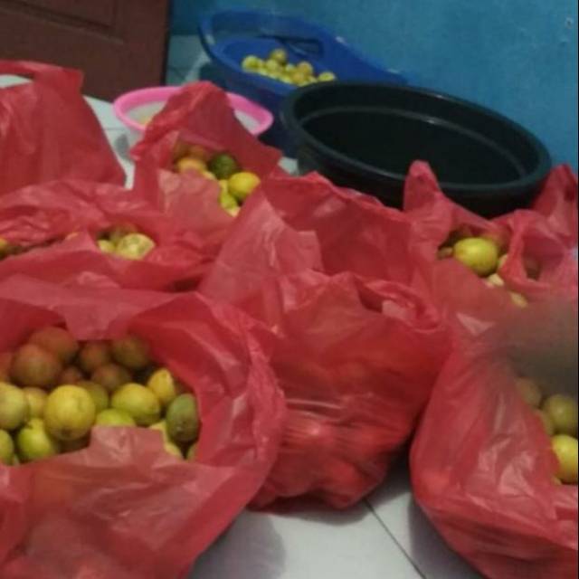 

Lemon lokal