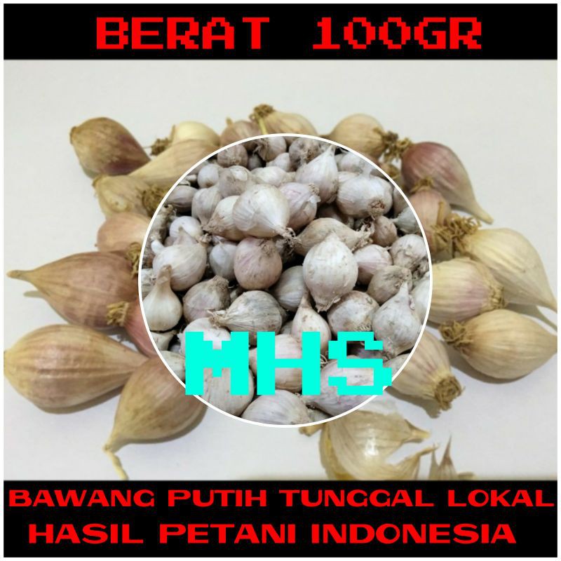 

Bawang Putih Tunggal Bawang Lanang Lokal 100GR