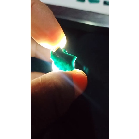 Bacan doko majiko cuci gudang borongan 10 pcs