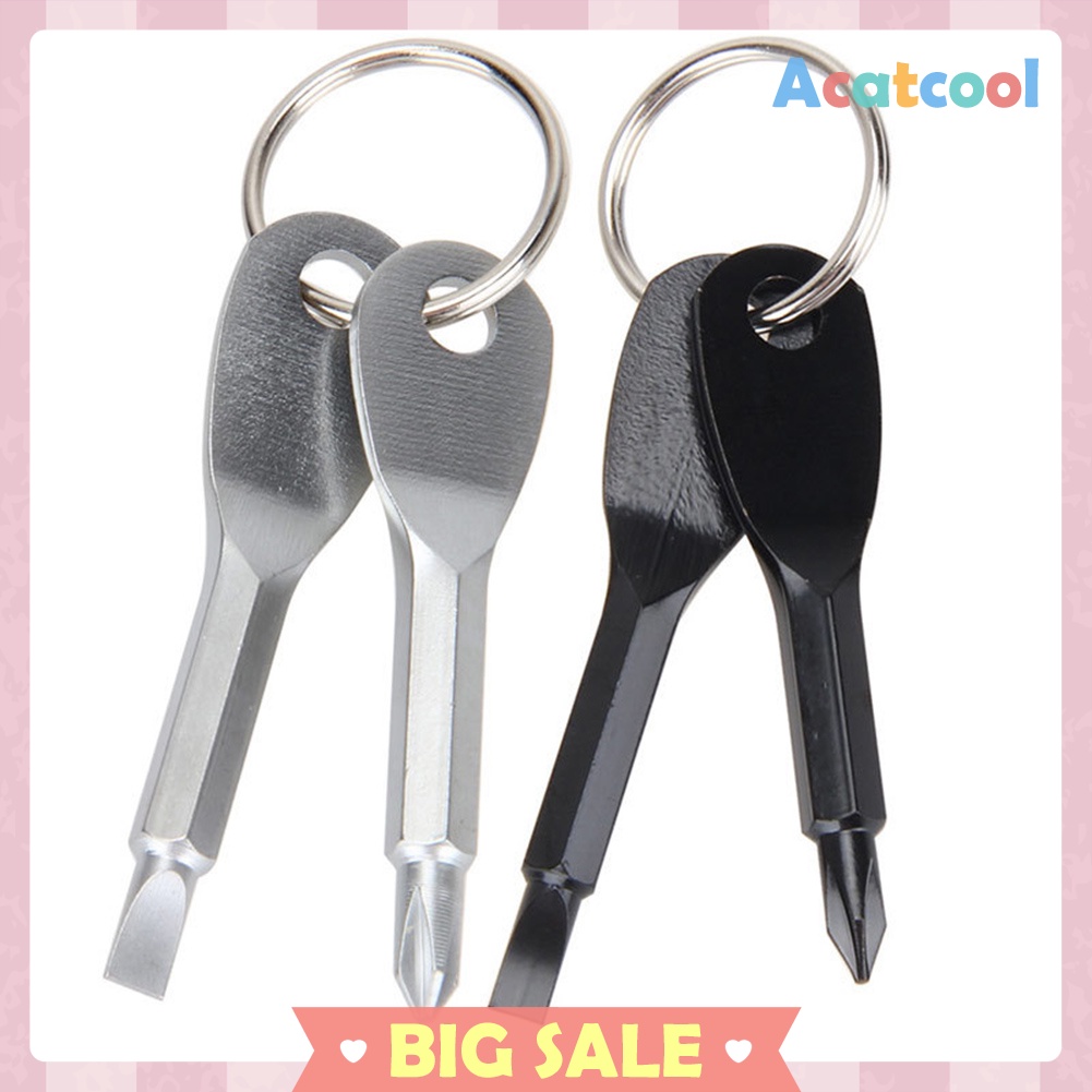 2 in 1 Stainless Steel Mini Keychain Slotted Phillips Screwdriver EDC Tool