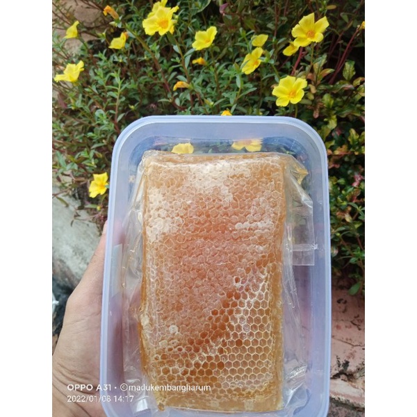 

madu sarang murni 1kg raw honey
