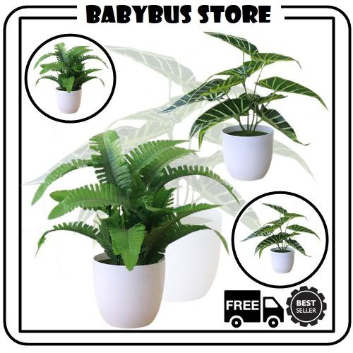 BBS DAUN TALAS / DAUN PAKIS TANAMAN HIAS PLASTIK POT BUNGA ARTIFICIAL DAUN RAMBAT DEKORASI