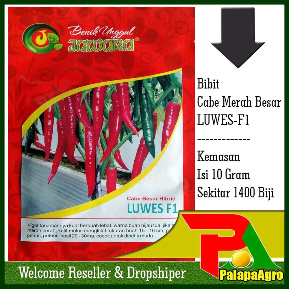 Benih Cabe Merah Hibrida LUWES F1 Limited