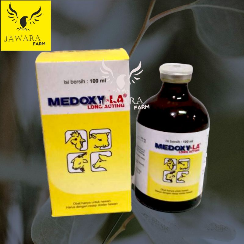 Medoxy LA 100 ml Antibiotik Sapi Ayam Kambing