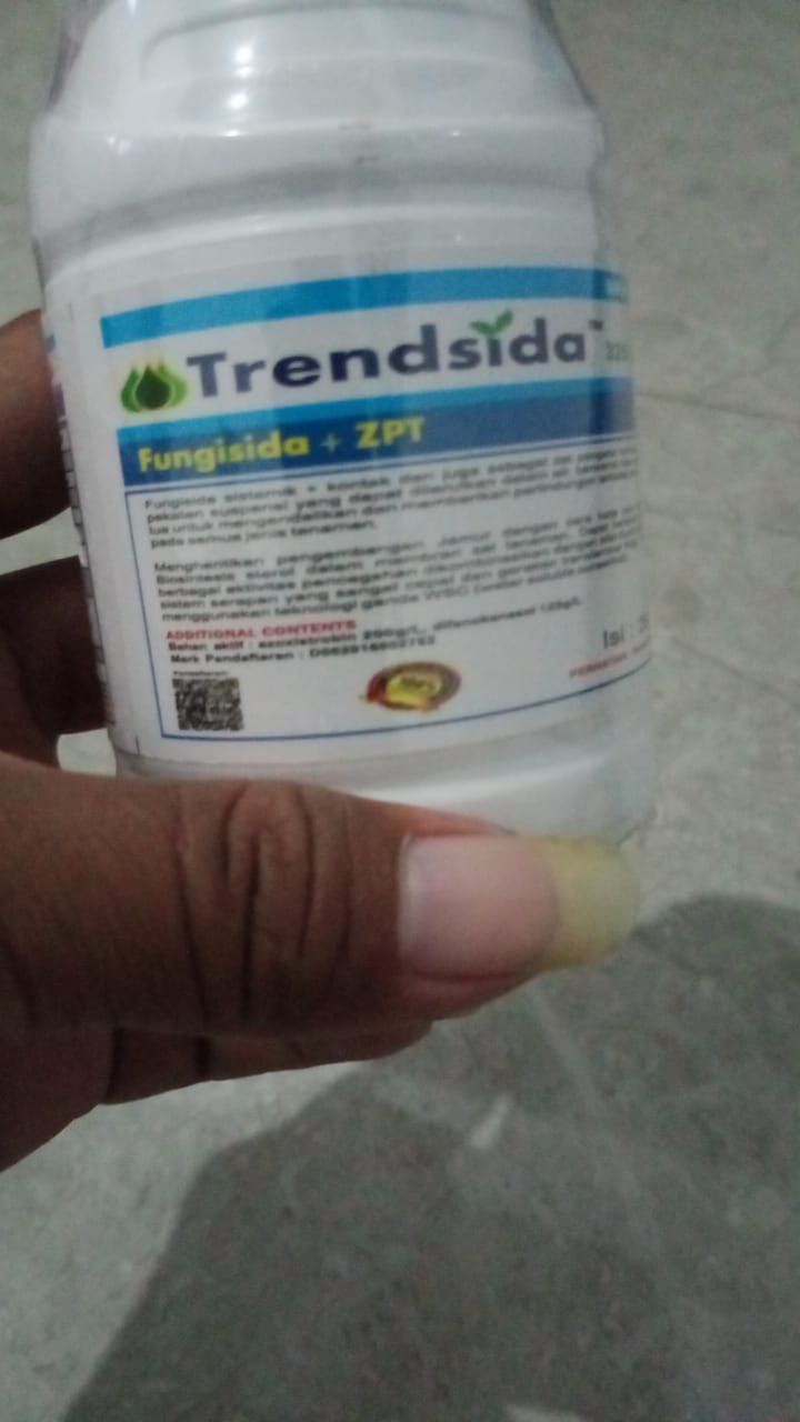 Trendsida 325 Sc 500 Ml Gratis Topi Jepang Trensida Trendsida Fungisida Pengganti Trendsida 335 Wsc Shopee Indonesia
