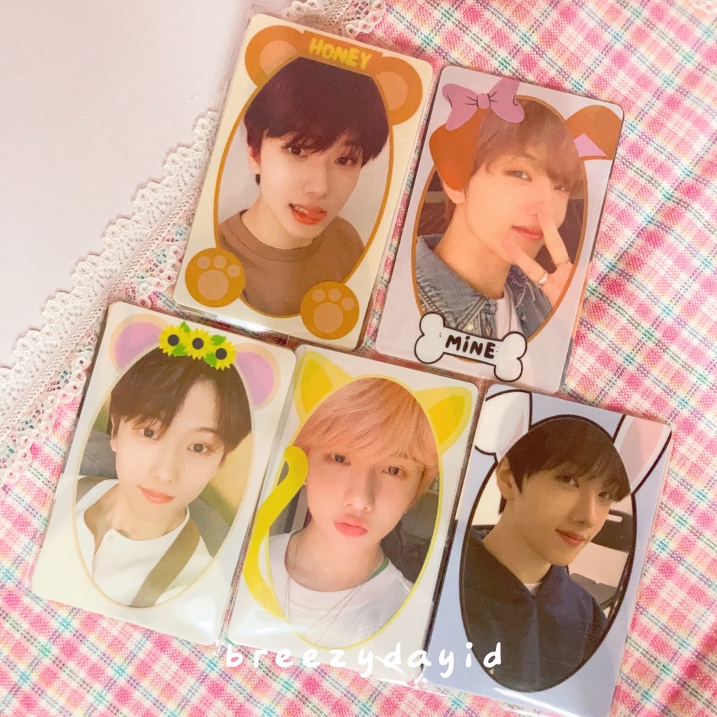 Photocard PC Bingkai Frame Decorasi Deco 5pcs/pack Desain Animal Binatang KPop