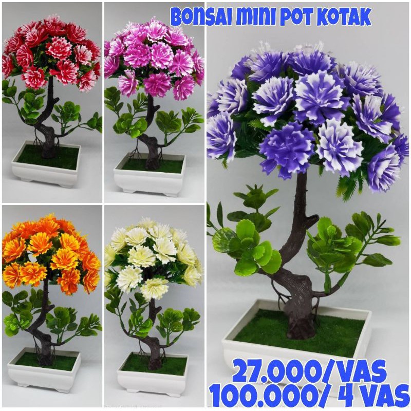 Bonsai Mini Pot Kotak