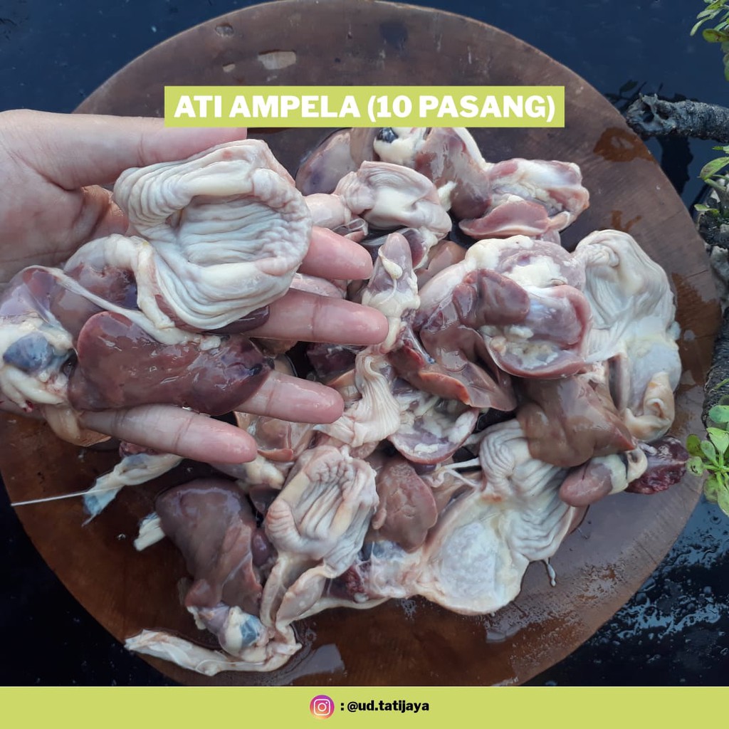 

ati ampela ayam (10 pasang)