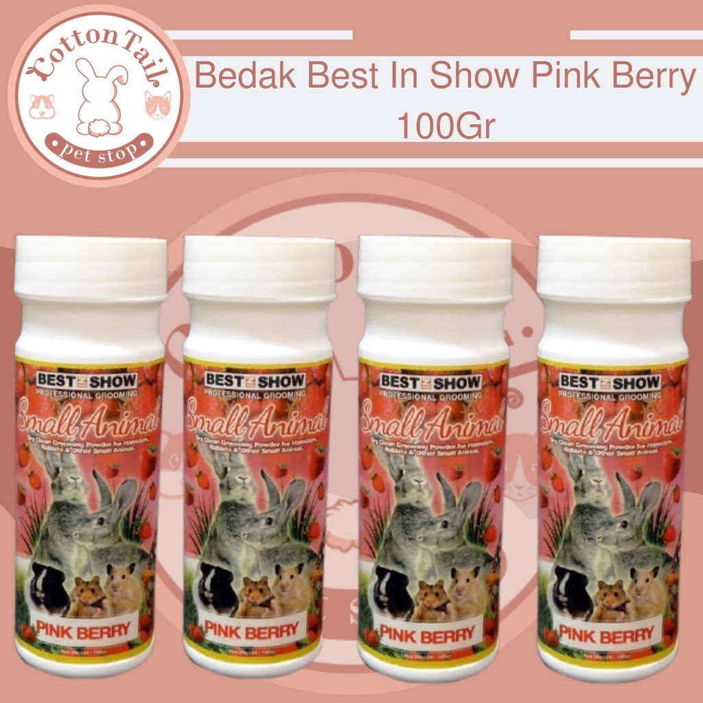 Bedak Pink Berry Kelinci, Guinea Pig, Cavy Dll, Brand Best in show