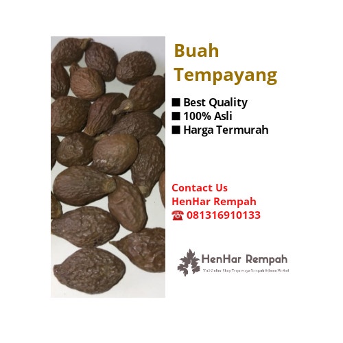 

Buah Tempayang / Buah kembang semangkok / Beng ta hai 500 gram