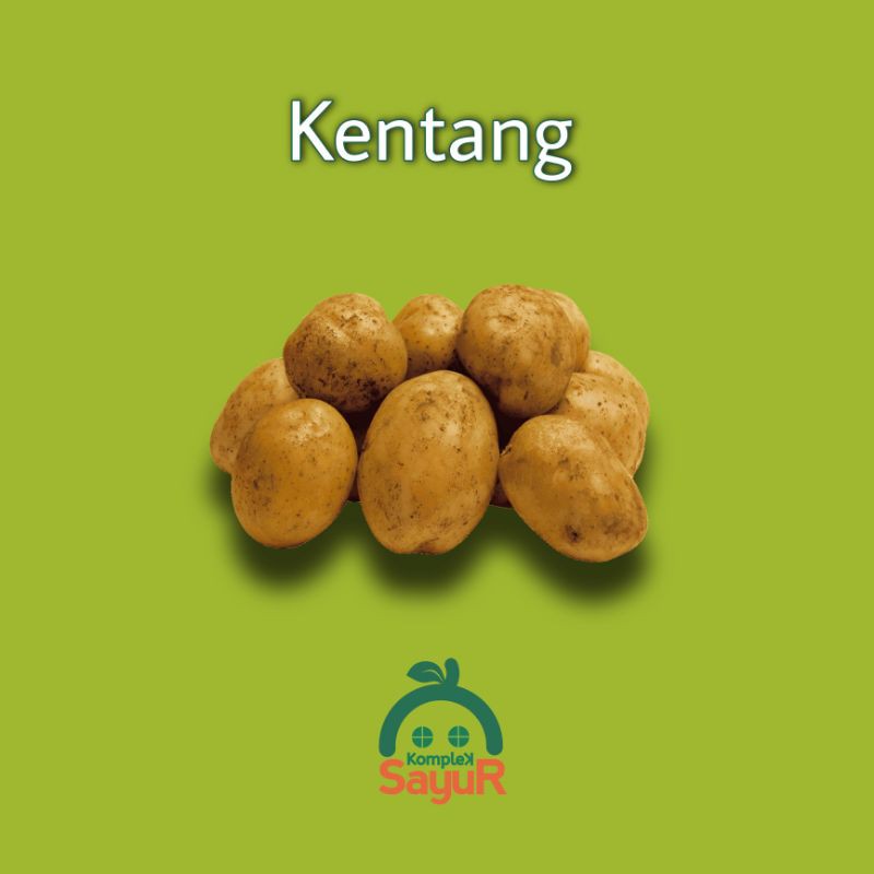 

Kentang Dieng Segar Kualitas Pilihan Langsung Dari Petani