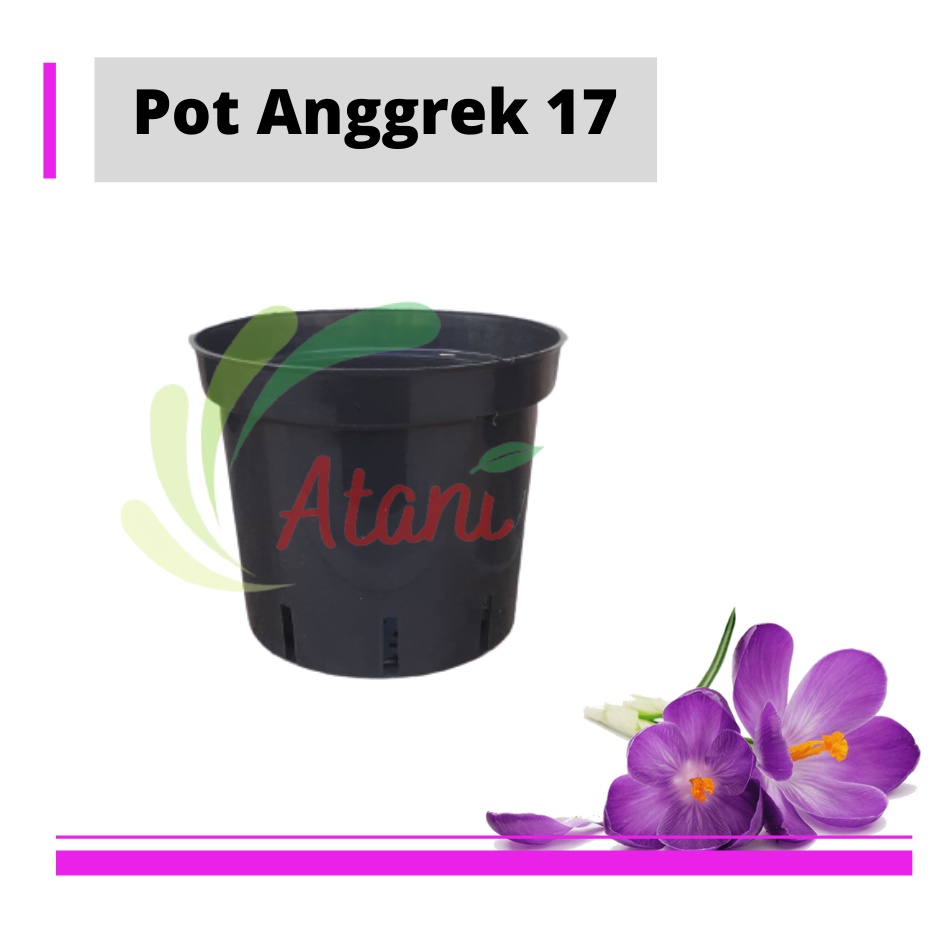 Pot Plastik Anggrek 17 | Jual Pot Bunga Angrrek Orchid Pot 17 Cm Grosir Murah pot anggrek 17,pot cattleya, pot anggrek bulan
