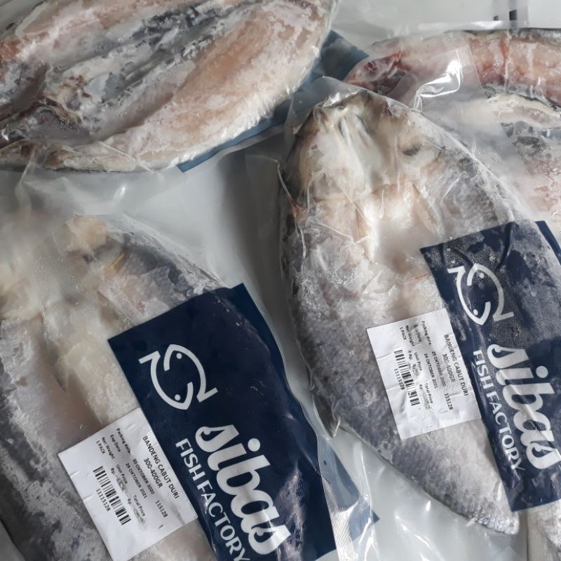 

Ikan Bandeng Cabut Duri