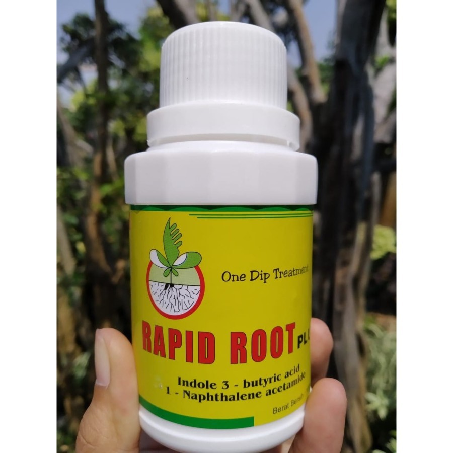 Rapid Root /Penumbuh akar