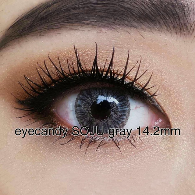 Eyecandy bulle soju belle smokey chic sake tosca softlens