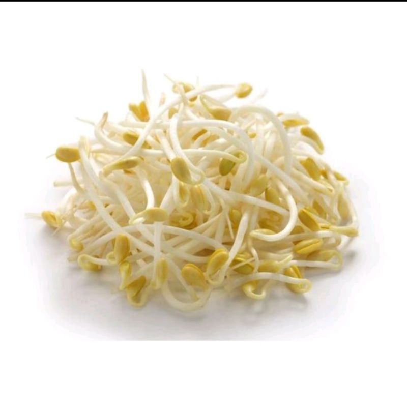

Toge Kecambah Berat 500 Gram