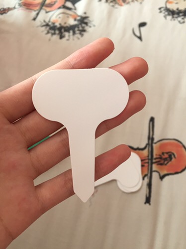 Label Tanaman / Penanda Tanaman / Plant Name / Plant Tag / Label Nama Tanaman Anti Air Semai Benih