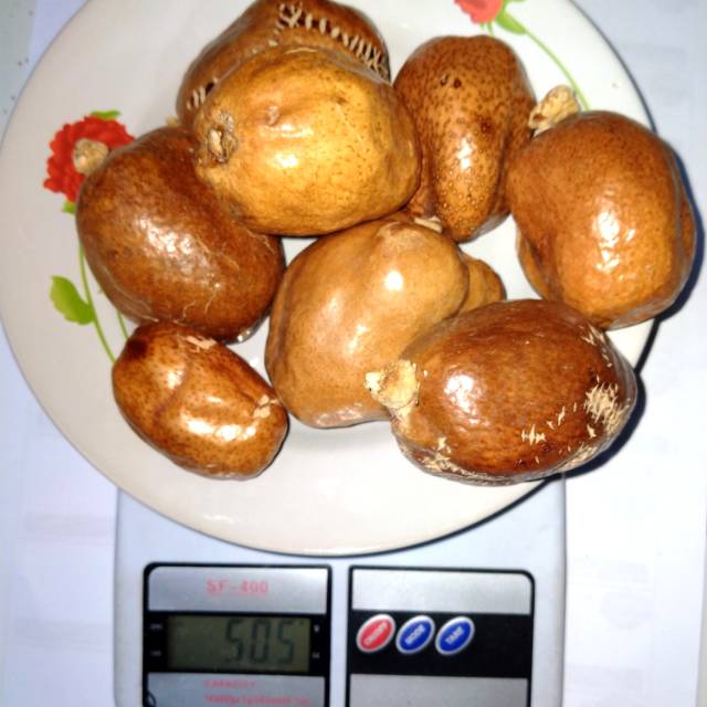 

Buah Zuriyat / Buah Zuriat Original Untuk Kesuburan 500gram