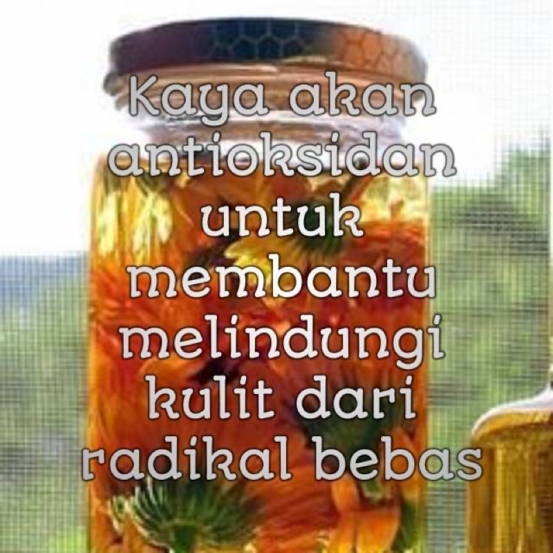 CALENDULA FACE MIST Jerawat Flek Hitam Skincare Korea Serum Paket Kecantikan Perawatan Wajah Glowing