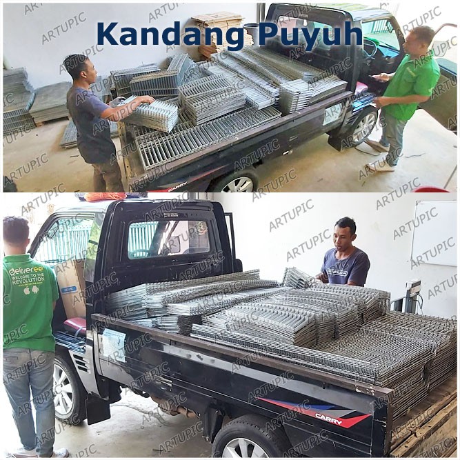 BELAKANG Kandang Puyuh Kawat Galvanise Artupic HANYA BELAKANG SAJA