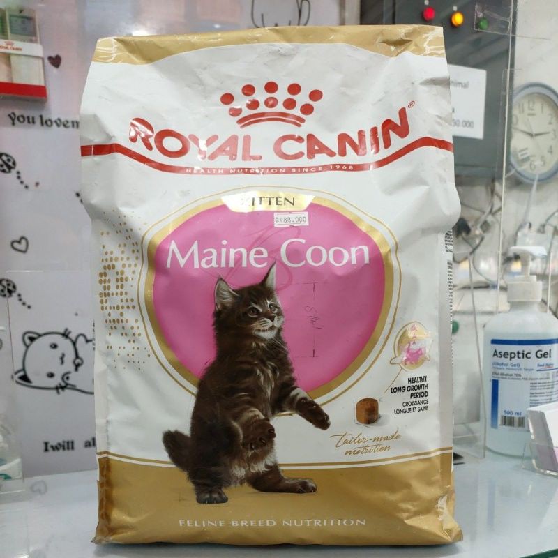 ROYAL CANIN KITTEN MAINE COON 4KG/ROYAL CANIN MAINECOON KITTEN 4KG