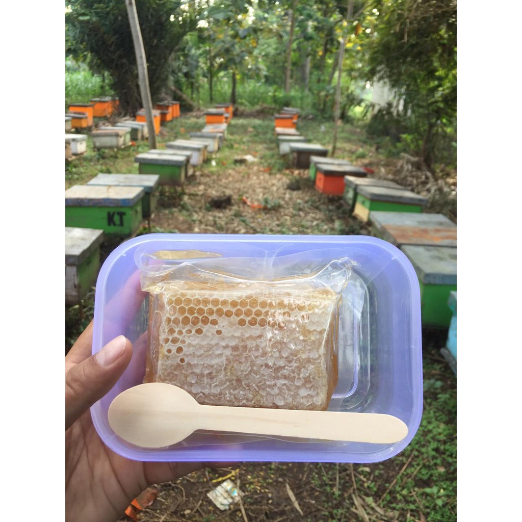 

(250GR)SARANG MADU MELIFERA ASLI / HONEY COMB / MADU SARANG