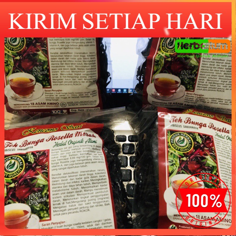 

Rosella Merah (PAKET 4 PCS)