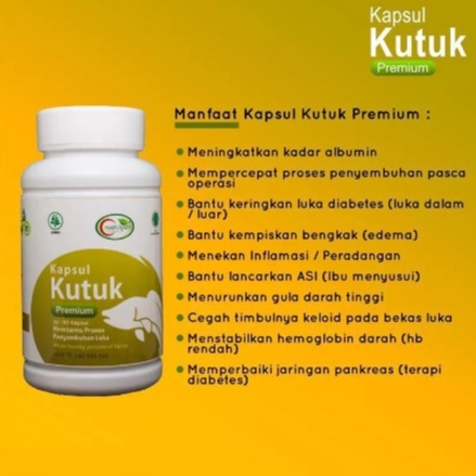 Kapsul Kutuk Premium Pasca Operasi ASLI 100% Ekstrak Albumin Sari Ikan Gabus BPOM