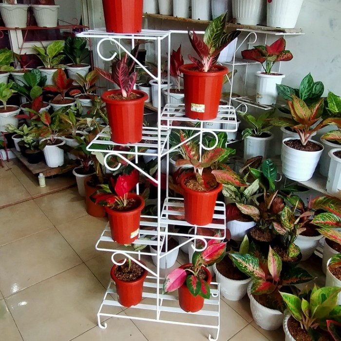 Rak Tanaman - Rak Tanaman Hias 7 Pot