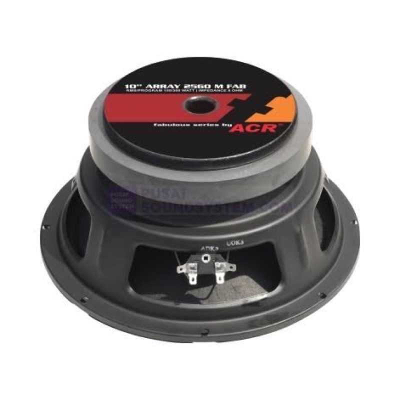 2 Biji Speaker 10" ACR Fabulous 2560 Array Full Range FullRange Original