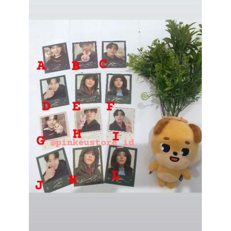 MD Day6 Polaroid Costume Denimalz