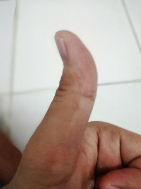 Padlock Gembok Pintu Pagar Rumah Toko 50 Mm Leher Panjang / Leher Pendek