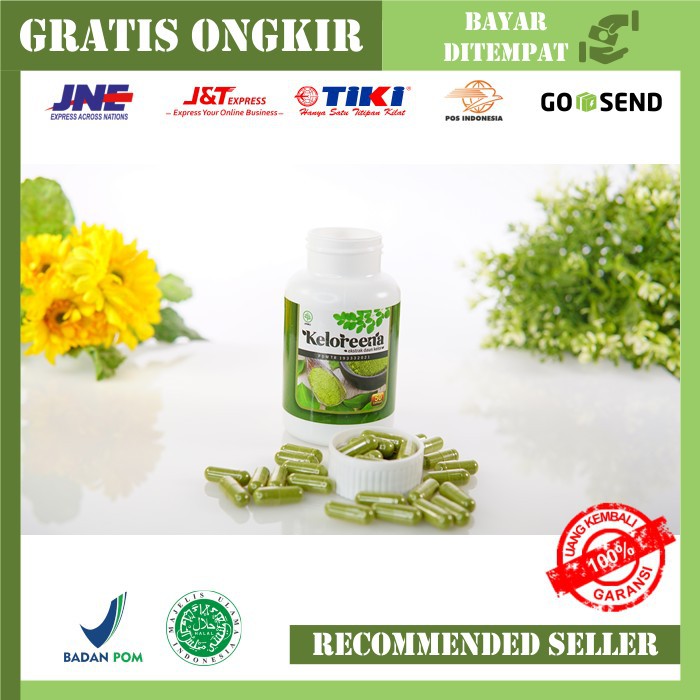 Keloreena Kapsul Ekstrak Daun Kelor