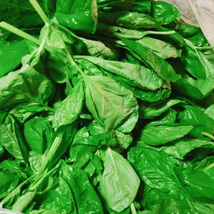 

Roxx.ea - .ea - .ea - Basil Fresh 1 Kg