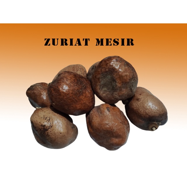 Buah Zurait Mesir  1kg | Zuriat Dom Program Hamil |Dom Mesir Promil.