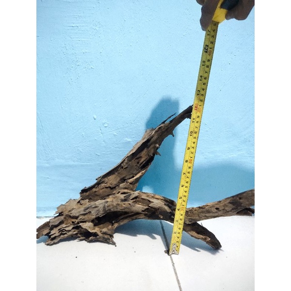 kayu rentek size XL ,Aquascape