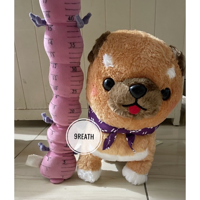 Boneka anjing shiba amuse original jumbo super besar