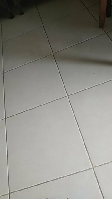 Panci Serbaguna 26 Cm Orchid / Steamer / Langseng